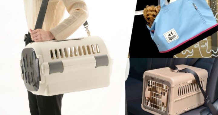 Pet owner carrying an elegant pet carrier during travel for comfort and convenience