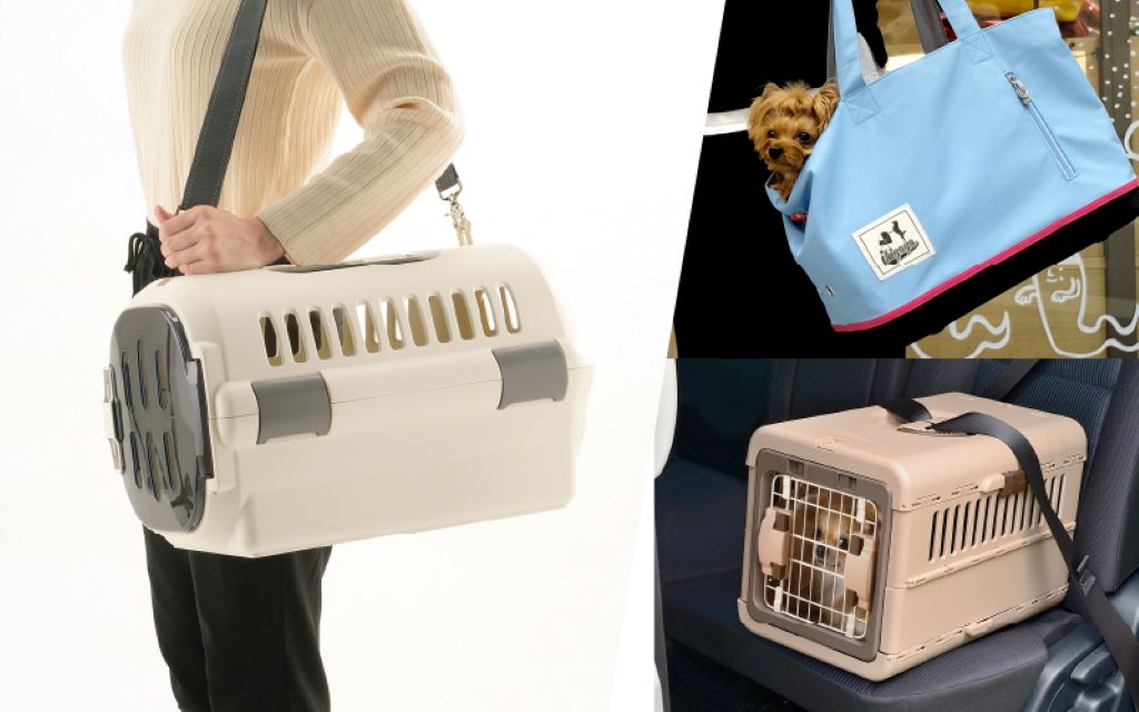 Pet owner carrying an elegant pet carrier during travel for comfort and convenience