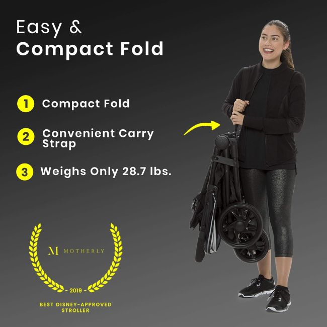 Affordable Jeep Destination Double Stroller for family walks, errands, and travel